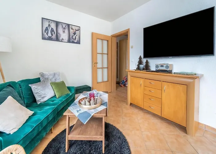 Ferienhaus In Suhl Am Thueringer Wald Tatil Evi *